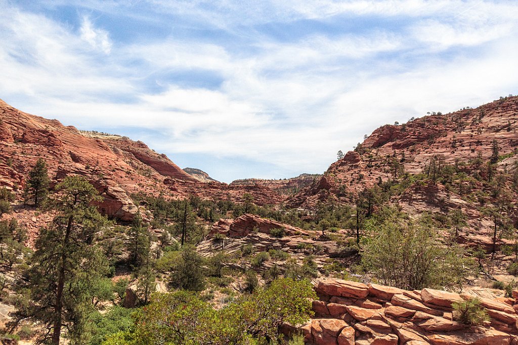21 - TRA I MASSI DELLO ZION PARK .jpg